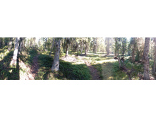 IMG 20150819 124103.jpg