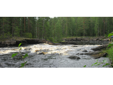 ���� ����� 1.jpg