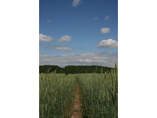 Recovered JPEG Digital Camera 6552.jpg