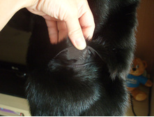 �����-���������