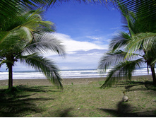 Costa-rican-beach-2-1310397.jpg