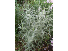 ��������.70