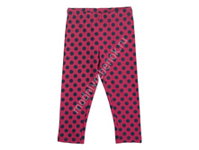 ���. 16031.jpg