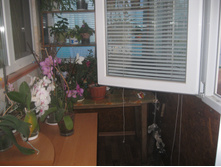 ��������-������, �� ������� � �����-���������