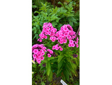 ���� ����.jpg