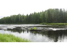 ���� ����� ����.jpg