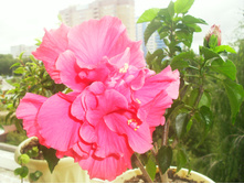 �������� №1