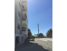 ������ ����