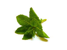 ���� ��������, ������