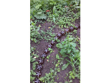 ������ 2015�.