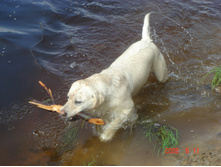 ����������� 1150.jpg