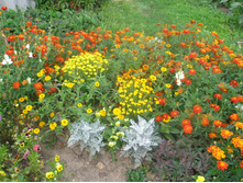 16.08.2015 P8160217.JPG