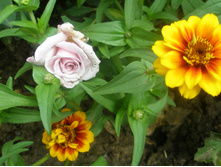 16.08.2015 P8160229.JPG