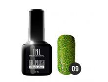 ����-��� TNL - � �������� ��������������Crack №09 - ����������� (10 ��.).jpg