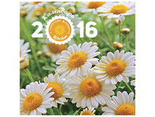 ��������� ������. �������. �� ������� Standard - �����, 30-30 ��, 2016 �. 52,8.jpg