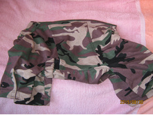 ������ 005.jpg