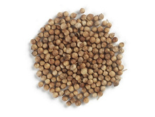 �������� ����� (�����), 100 �� �������