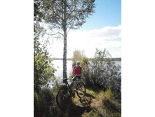 �����, �������, ���������.