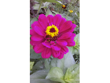 ������ 2015�.