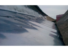 IMG 20150803 175320.jpg