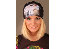 �������: ����-0000-0231 ����� � �������