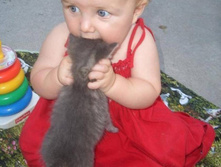 �������)