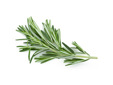 ��������, 10�� ������