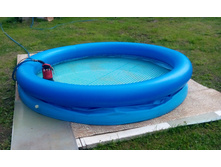 IMG 20150704 133125.jpg