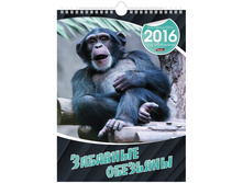 ��������� ������. �������. �� ������ ����- �������� ��������, 22-30 ��, � �������, 2016 �. 66,5.jpg