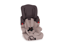 ���������� ������� ���� �� 9-36 ��.