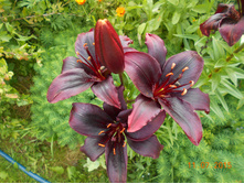 DSCN1065.JPG