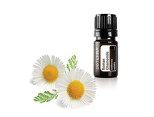������� ������� Roman Chamomile Essential Oil