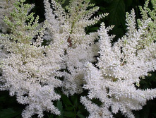 �������� ������� 110