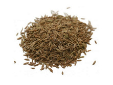 ����� ������� (����),  �����