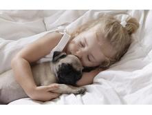 ��� �����