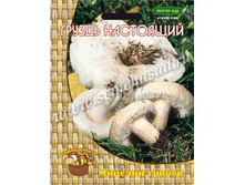 ������ ��������� ��� ����� ������ (60��.).jpg