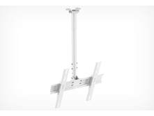 PR-101 white
