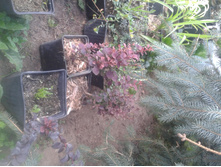 ����� 2015�.