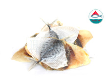 ������������� ���������