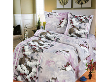 4256-1 Fizalis iz byazi 150.jpg