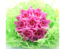 ����� ������� - 250 ���.