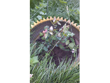 ������ 2015�.