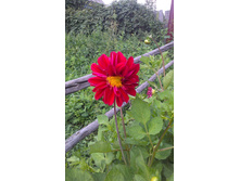 ������ 2015�.