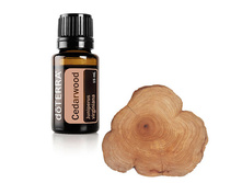 ���� Cedarwood Essential Oil
