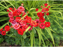 �������