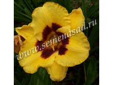 �������� ��������� �����.jpg