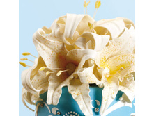 ����� ��������� ���� ���,���� �� 100 ��.-71 ���.+���.%