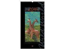 ��������� ������. �������. �� ������ ��������- ����� ���, 30-60 ��, � �������, 2016 �. 151,2.jpg