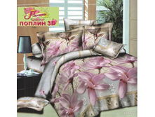 ��� 477 2� �������� � ���� ���������.jpg