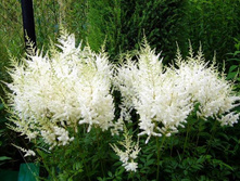 �������� ������� 110